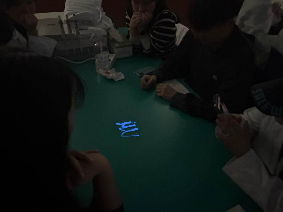 루미놀 실험