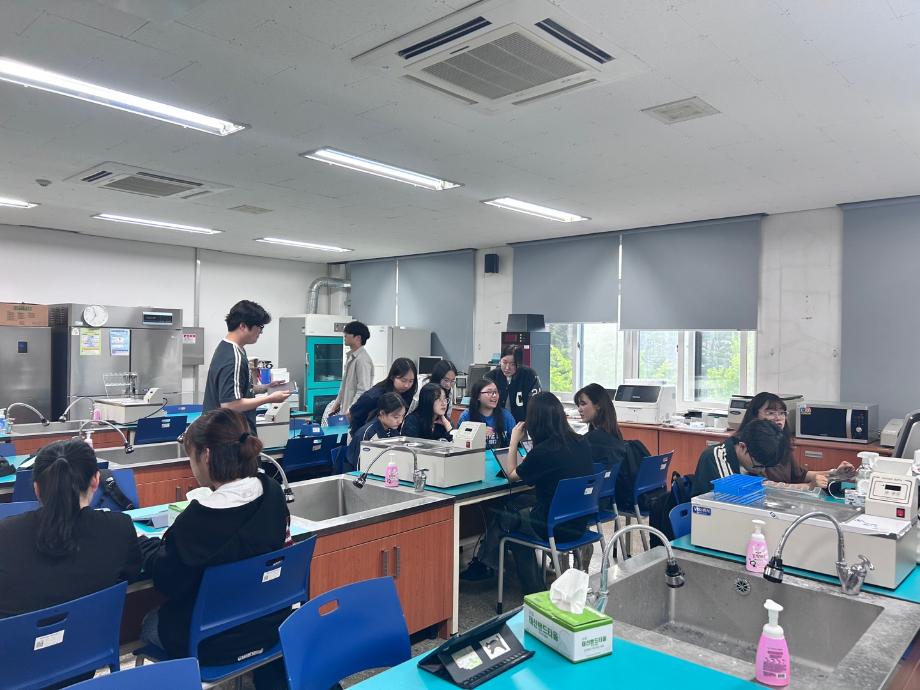 멘토링