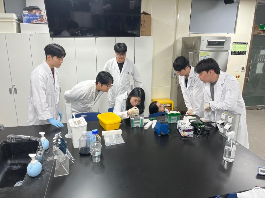 Western blot