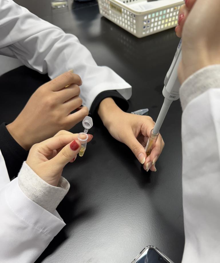 정맥채혈&혈청분리