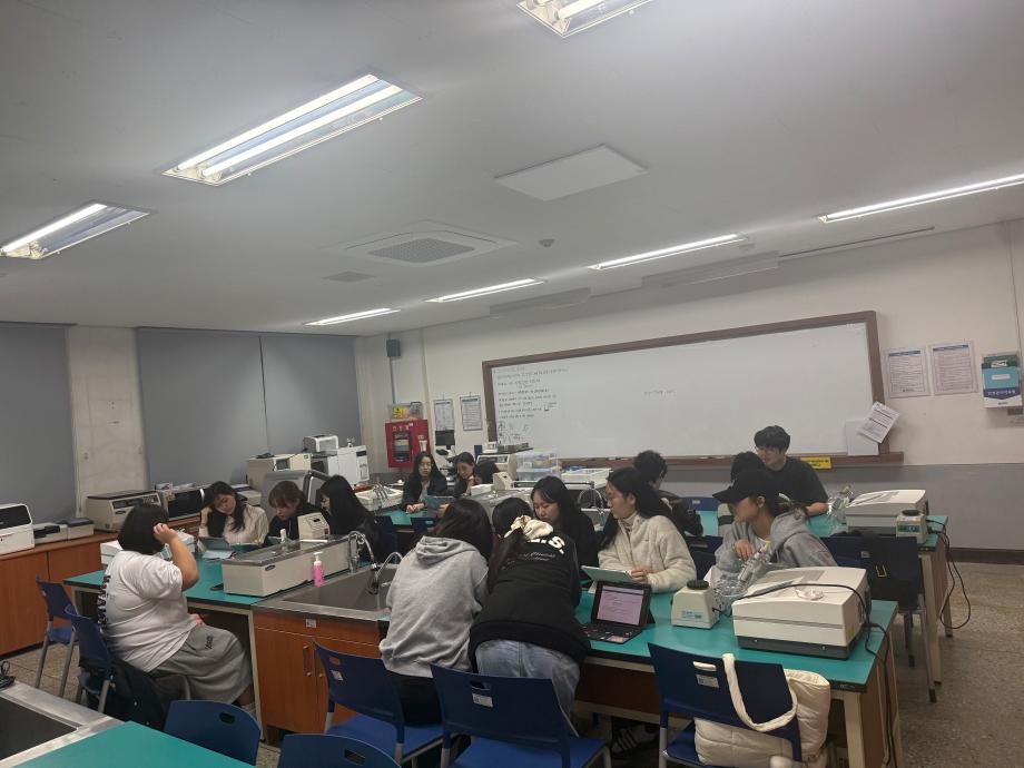 중간고사 전 멘토링