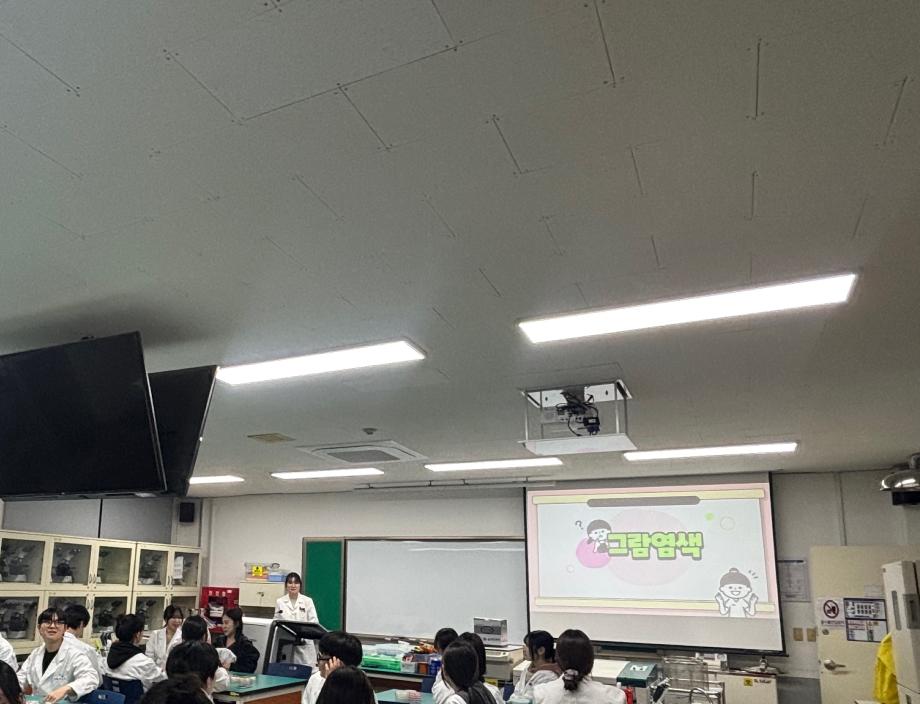 그람염색