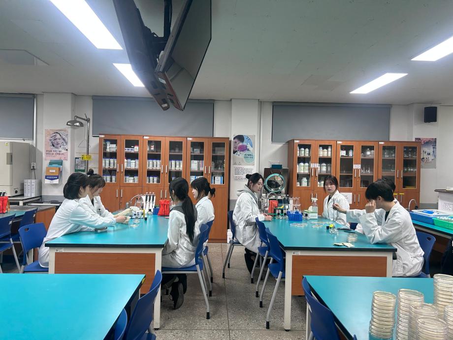 세균 배양