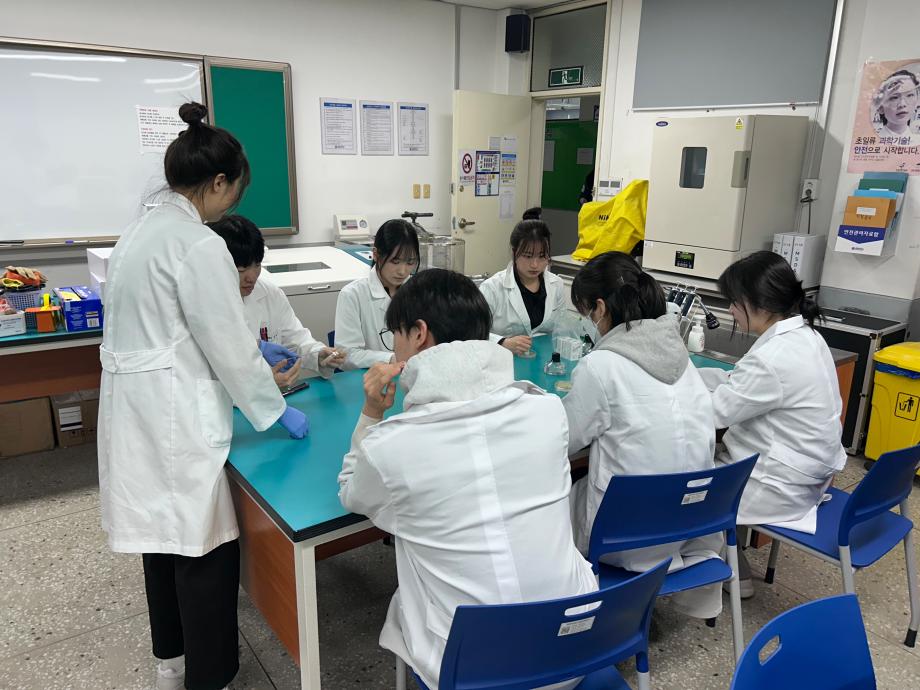 디스크 억제대 결과 확인