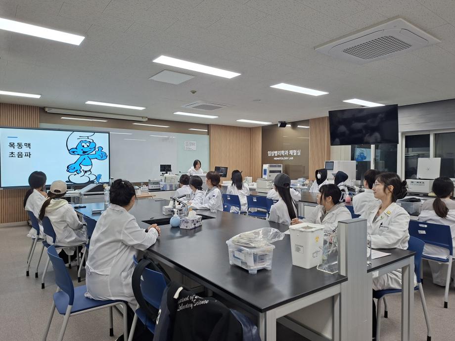 목동맥 초음파 실습