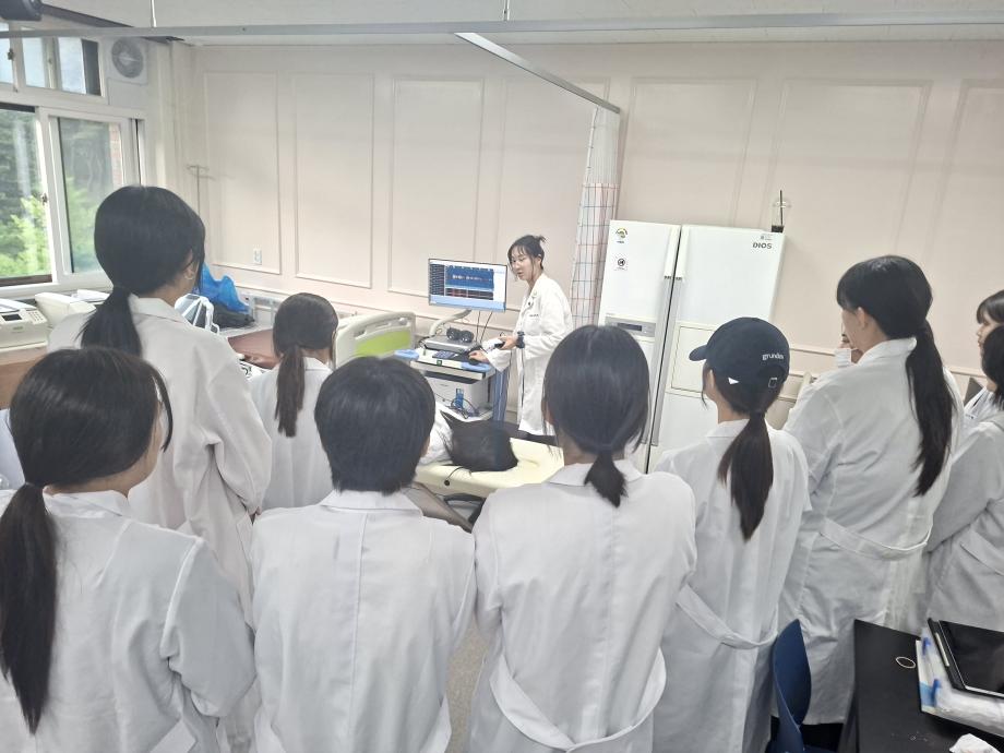 TCD 검사 실습