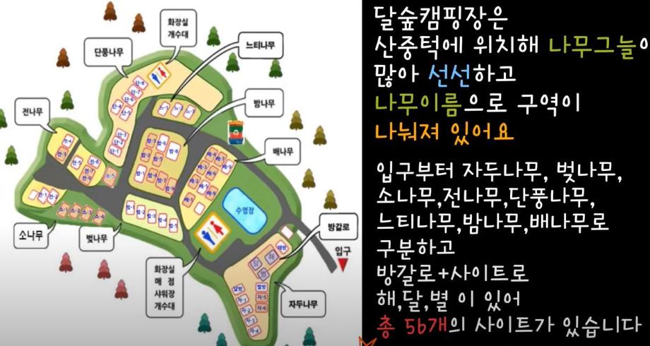 달숲 캠핑장