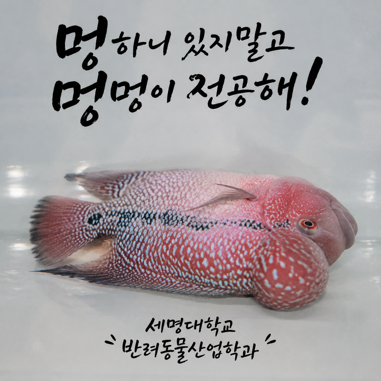 대표그림5