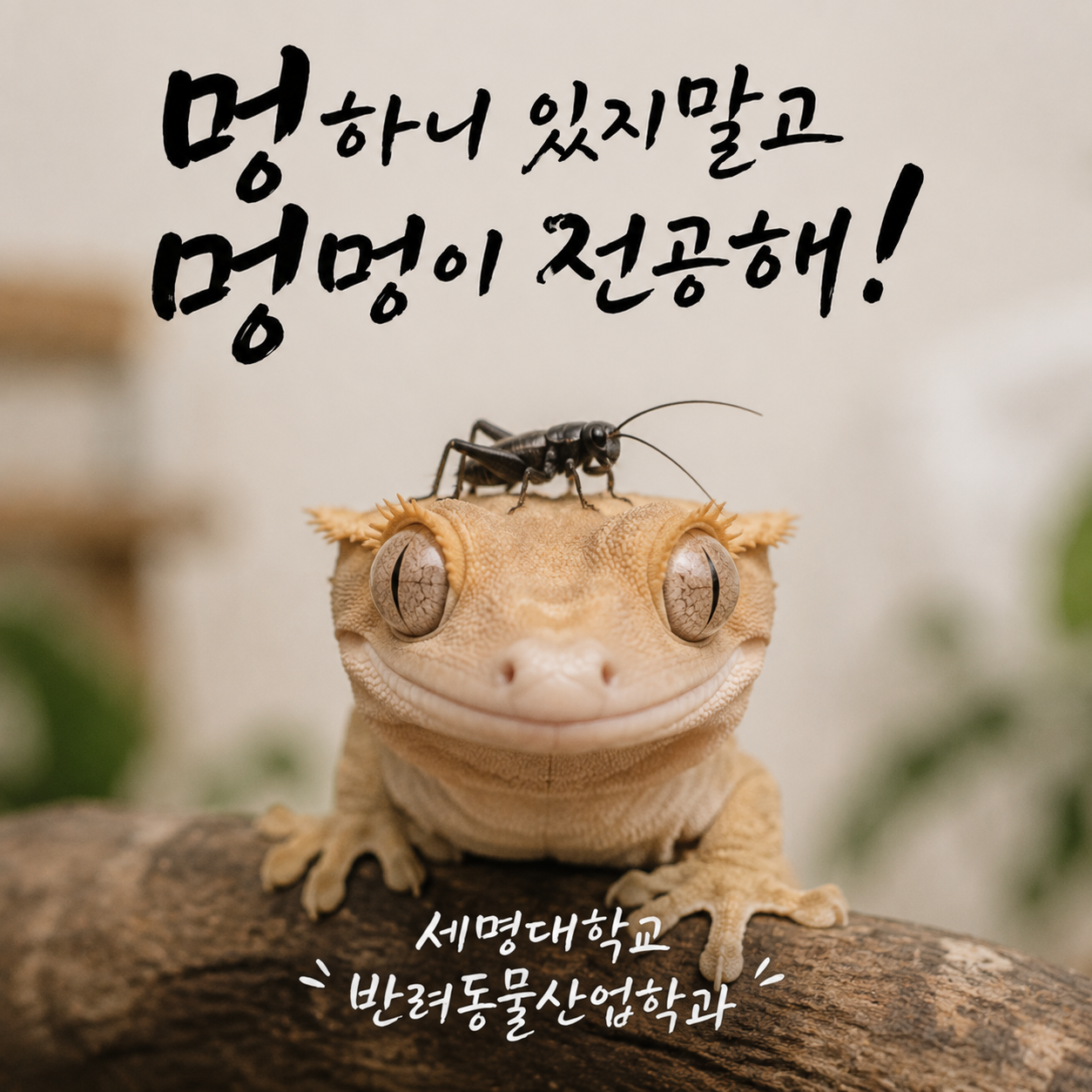 대표그림7