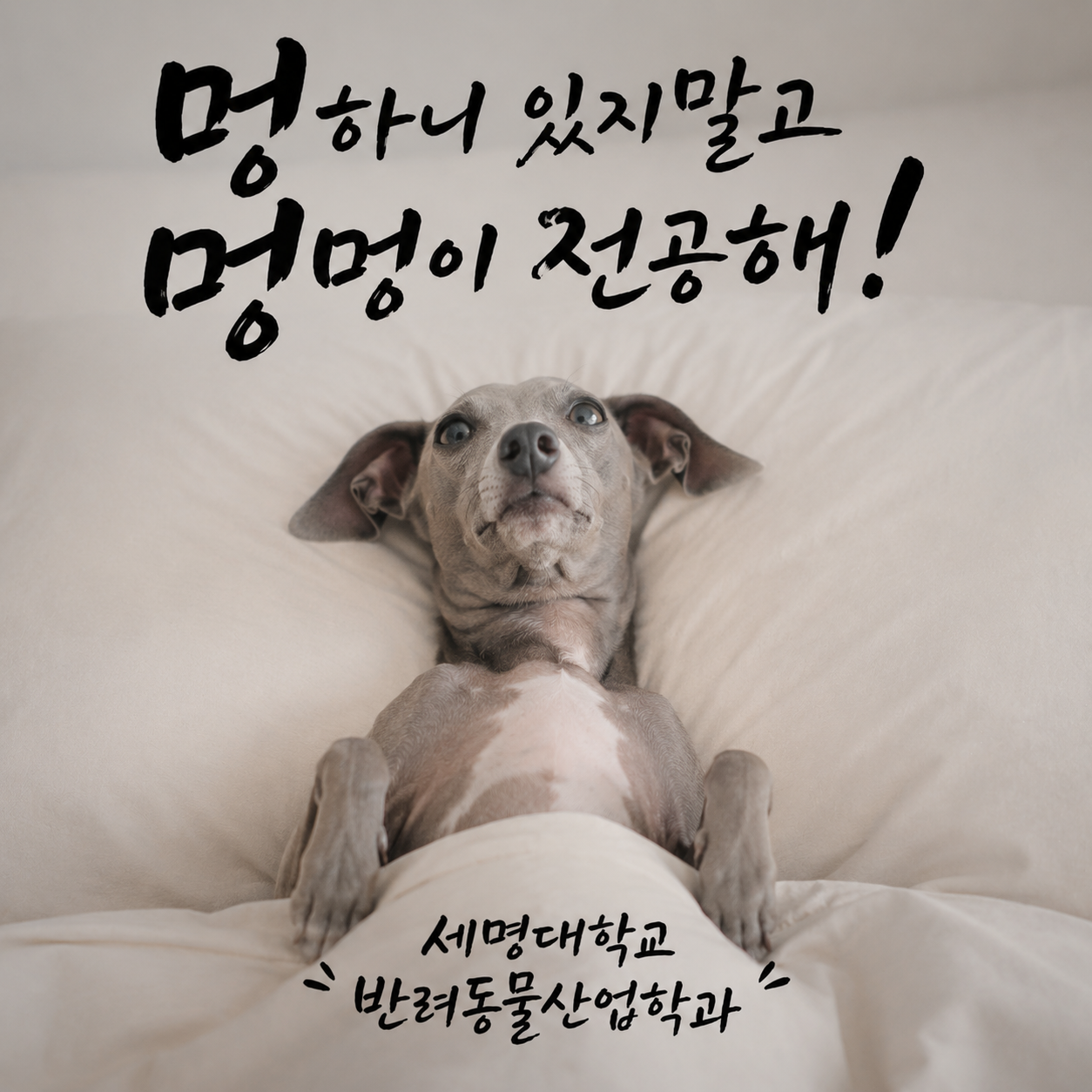 대표그림8