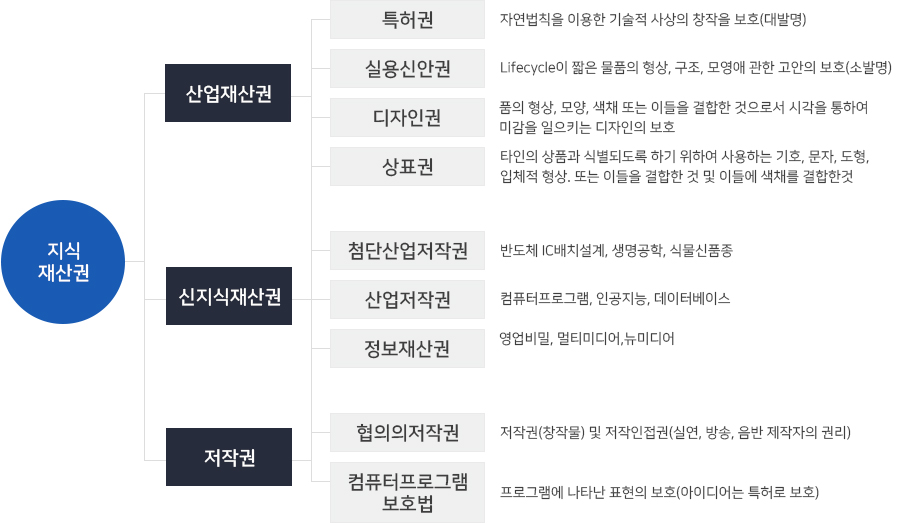 지식 재산권