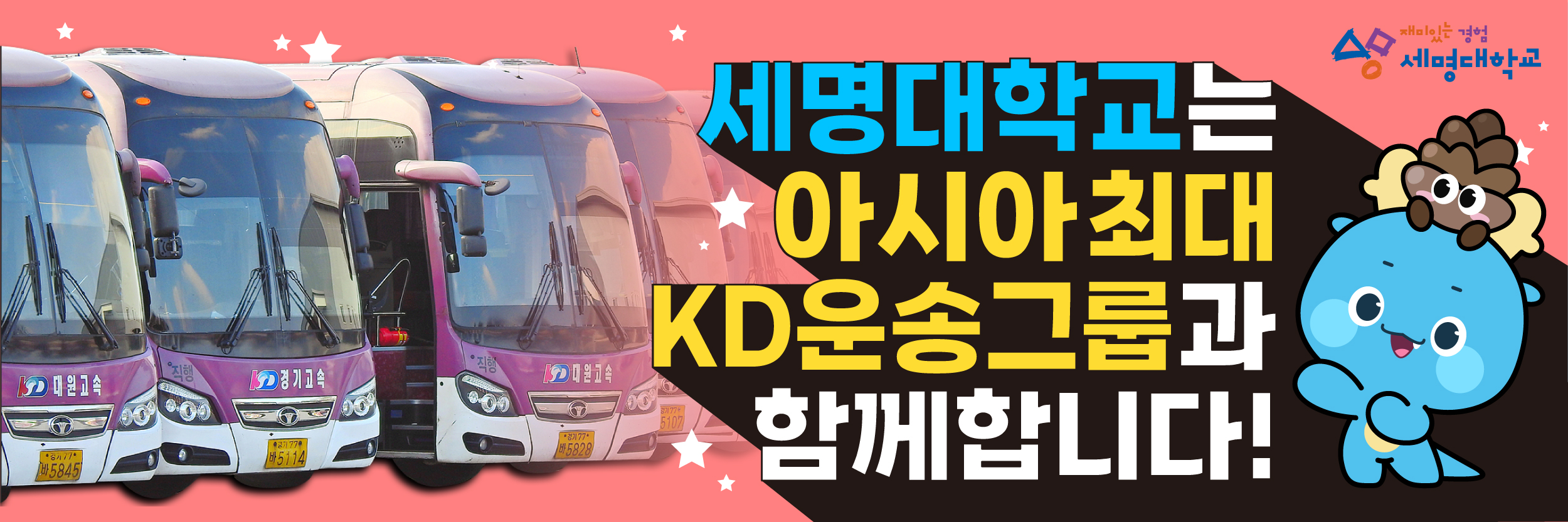 인트로팝업