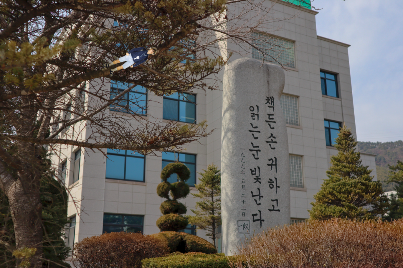 external_image