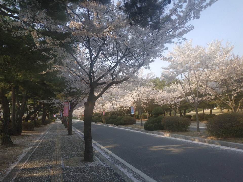external_image