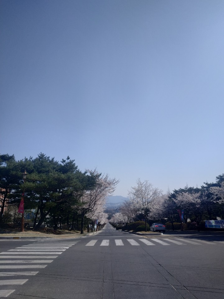 external_image