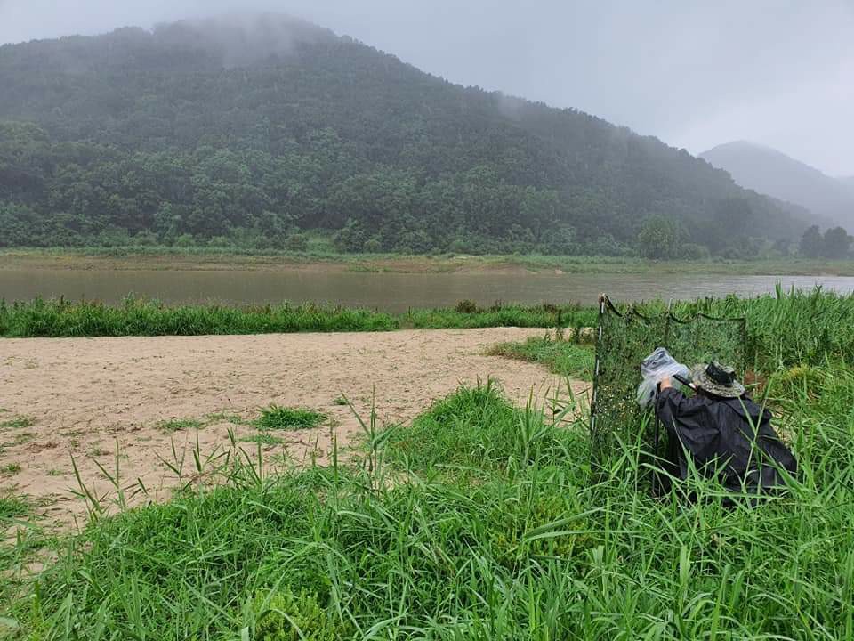 external_image