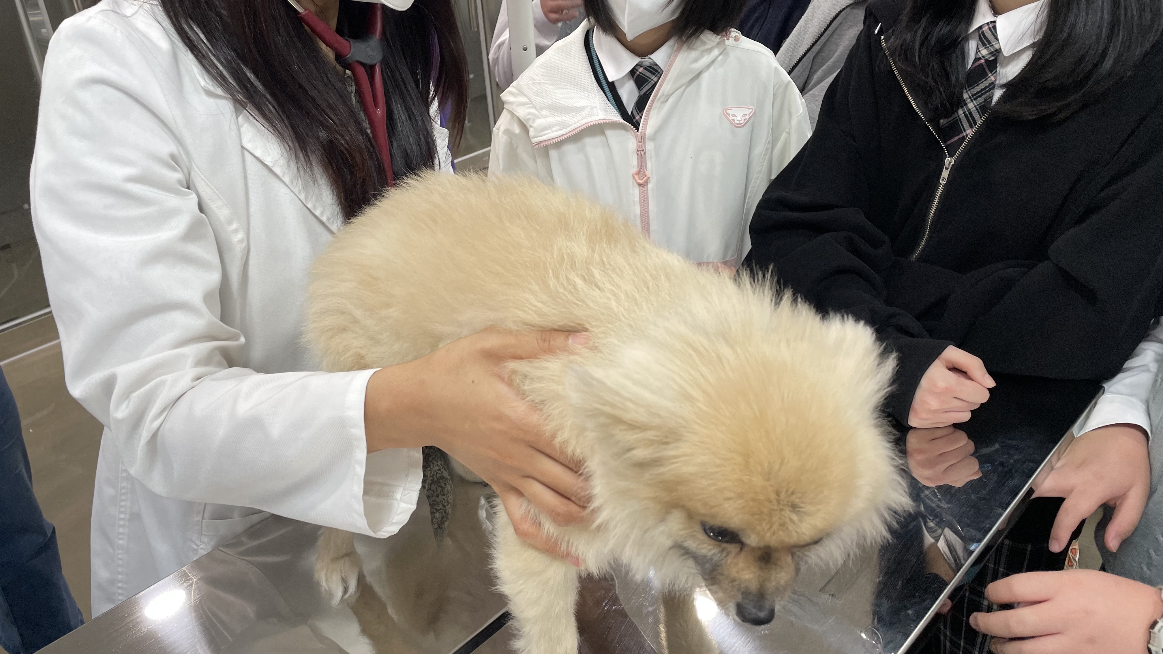 체험사진