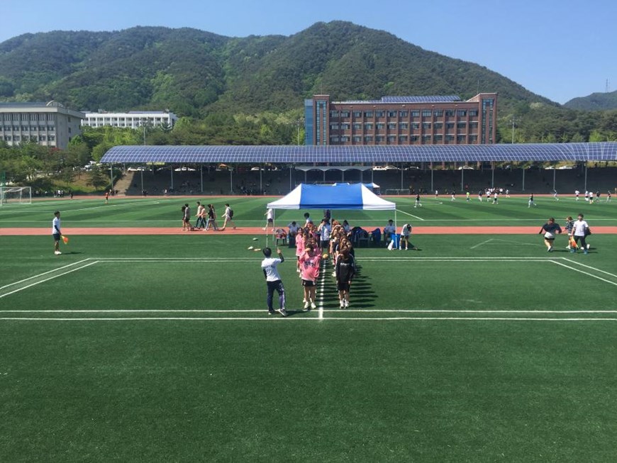2016 청룡체전