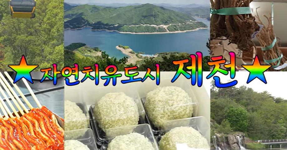 “여긴 따로 또 옵니다” 40명과 함께한 역대급 제천 미식 투어 🌿