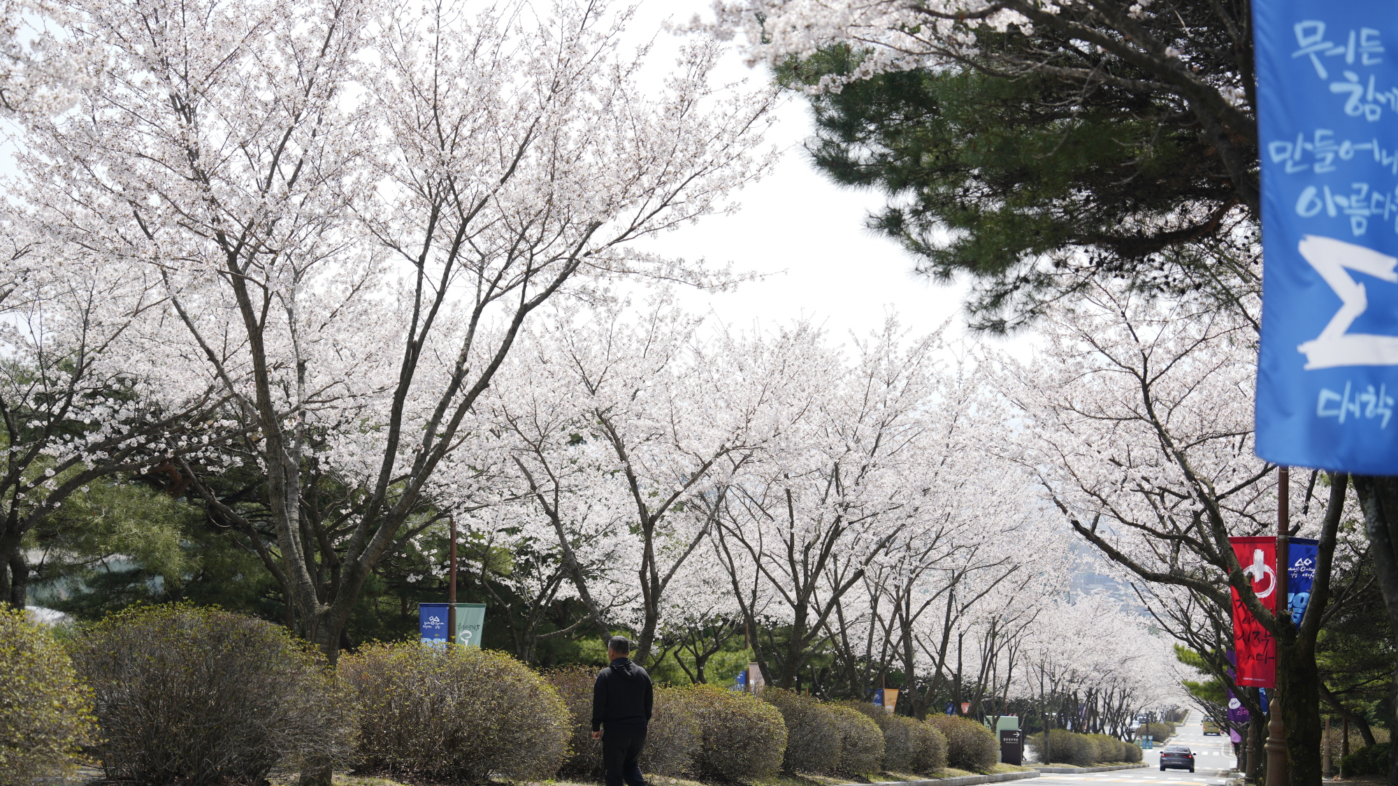 세로수길
